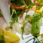 Turre Turre - 生蛸