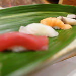 千春鮨 - おまかせ握り