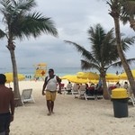 AGLAIA - ISLAND DINING & BAR - - たくましライフガード