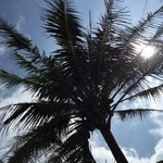 AGLAIA - ISLAND DINING & BAR - - 美し～