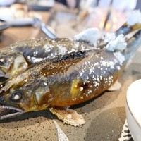 柳家 - 