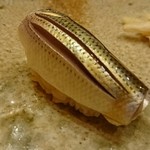 すし家 一柳 - 2015/10