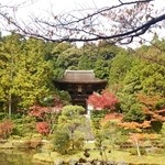 里 - ちらほら紅葉の円成寺さん。