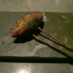 フロリレージュ - 投影　さつま芋　ただのお芋ではありません。ニョッキのようなもの