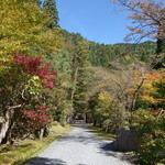 美山荘 - こんな山の中です