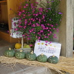 姫のそば ゆかり庵 - カボチャ五兄弟