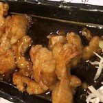 鹿野 - ホルモン