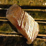 うを徳 - 出水産真鯵