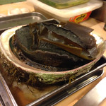 うを徳 - 大原産鮑(雌貝)0.8kg