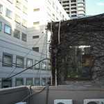 桜屋珈琲館 - 屋上、隣は青山ビル