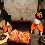 うさぎとぼく -  
      お菓子を用意して待っててくれたよ。
      じゃあ2人でうさぎさんに向かって、せ～の。つぬっこ＆ちびつぬ「トリック・オア・トリート！！」
      