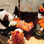 うさぎとぼく - お菓子をいただくボキら。
      うさぎさん、ありがとう～！！