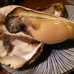 産直屋 たか - (10/31)北海道仙鳳趾産生牡蠣