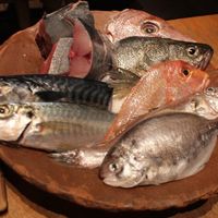 魚匠 銀平 道頓堀店 - 