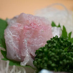 鎌倉 波平 - シマアジ