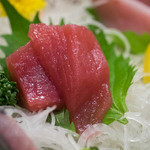 鎌倉 波平 - まぐろ赤身