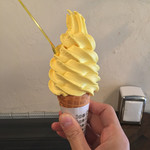 ジェラテリア アクオリーナ - パンプキンミルク（590円）