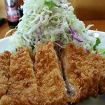 とんかつと和食 わかさ - ロースかつとキャベツの山盛りの図〔15/11/1撮影〕