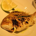 イノウエ グリリア - 真鯛のグリル　2400円くらい　ハーブソースがすこしかかっています