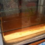 宗清龍堂 - ショーケースのカステラ