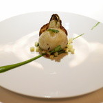 レフェルヴェソンス - Un point fixe～（2015.Nov)
      