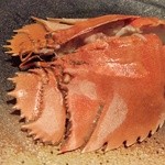 さかなや - うちわえび