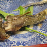 新ばし 星野 - 藁科川の鮎