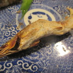 新ばし 星野 - 藁科川の鮎