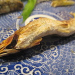 新ばし 星野 - 藁科川の鮎