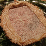 虎白 - 酢で蒸した子蟹の甲羅はやわやわ(2015/10)