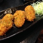 フリーダム ロード - H.27.10.31.夜 かきフライ 480円