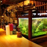 和伊ん食堂 ハコ - 一階カウンター