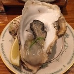 エル パト - 1510岩手産殻付き生カキ