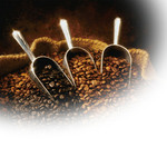 アンジュ あざみ野店