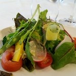 ２０種類の「ごちそう野菜」とヤシオマス。