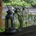 パインズ ランチョネット - ランプとお花