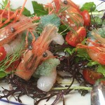 ボガマリ・クチーナ・マリナーラ - ボタン海老