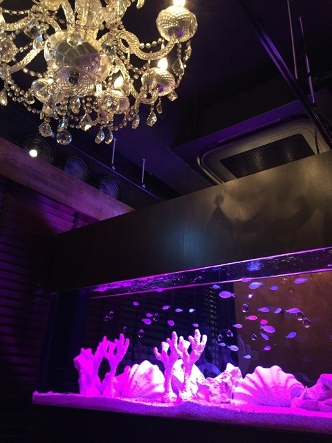 BLUE  Meieki photo 4