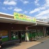 みのりちゃん市場