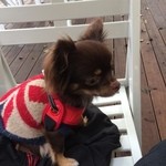 Shunsui Curry Kobo - ブレアです