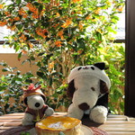 焼きたてチーズタルト専門店PABLO - 