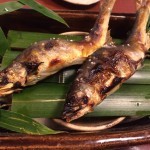 虎屋 壺中庵 - 鮎