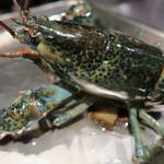 オマール海老にします