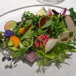 レフェルヴェソンス - 46種類のサラダ
