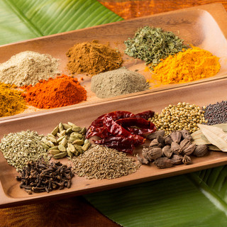 ミラン・ナタラジ_2