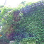 スパイスカフェ - 2010.５月