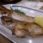 秋田料理 きりたんぽ - はたはた