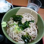 六花そば - 六花で初めて食べる冷のそば。内容はかけそばと変わらず、冷水で〆たぶっかけそば。2010.5