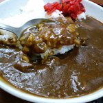 六花そば - そばつゆで伸ばした感じではないスパイシーなカレーが嬉しい。2010.5