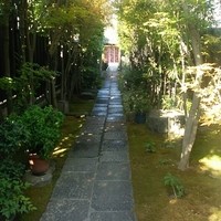 おしょくじ處 今 - 